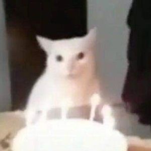 Meet your Posher, Ever